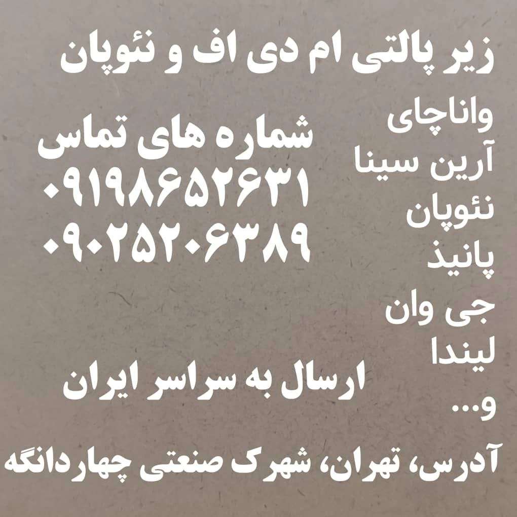 1744264694895.webp